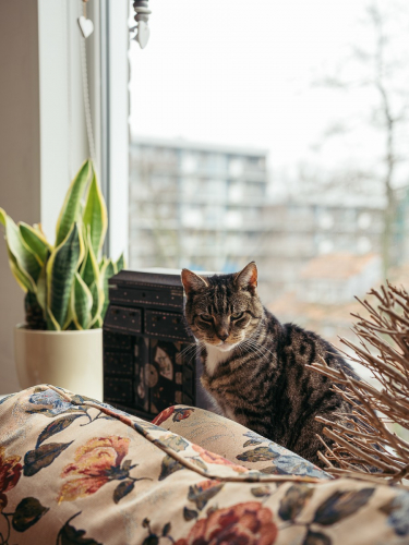 documentary wedding photoreportage