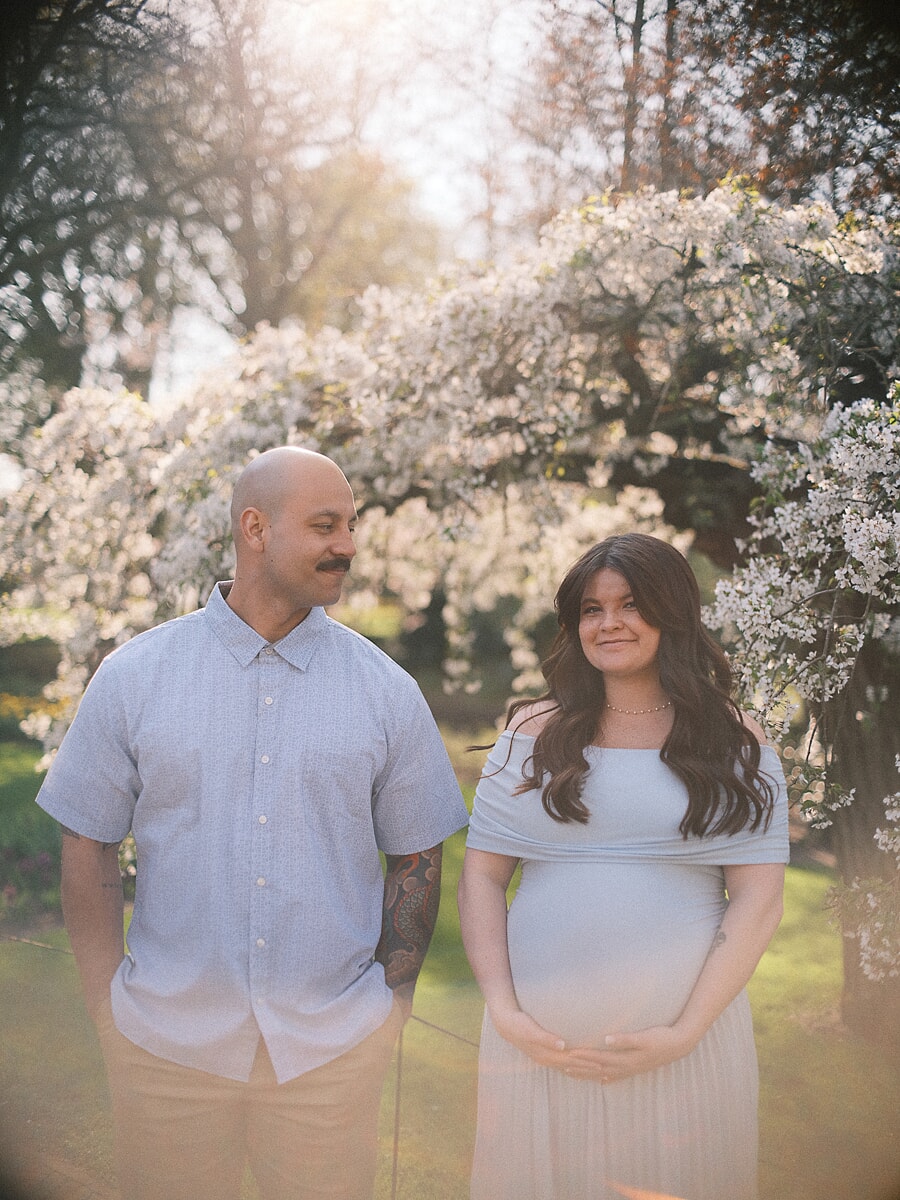 Maternity SP2 Maternity photographer in Amsterdam captures an expecting couple under blossoming cherry trees in golden afternoon light