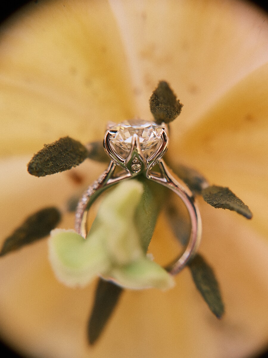 Diamond solitaire standing upright on a pale flower, photographed before the proposal begins