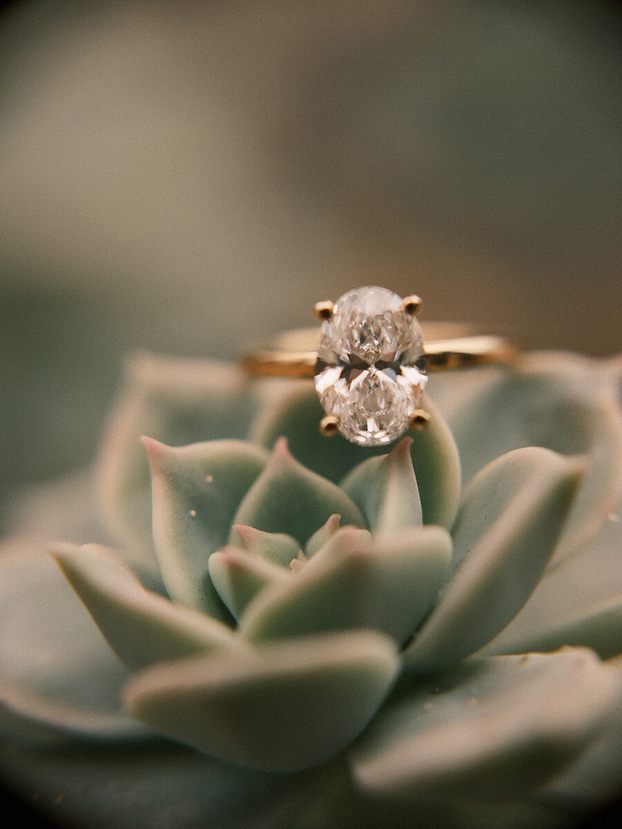 Oval diamond engagement ring resting on a succulent in the hour before the surprise proposal