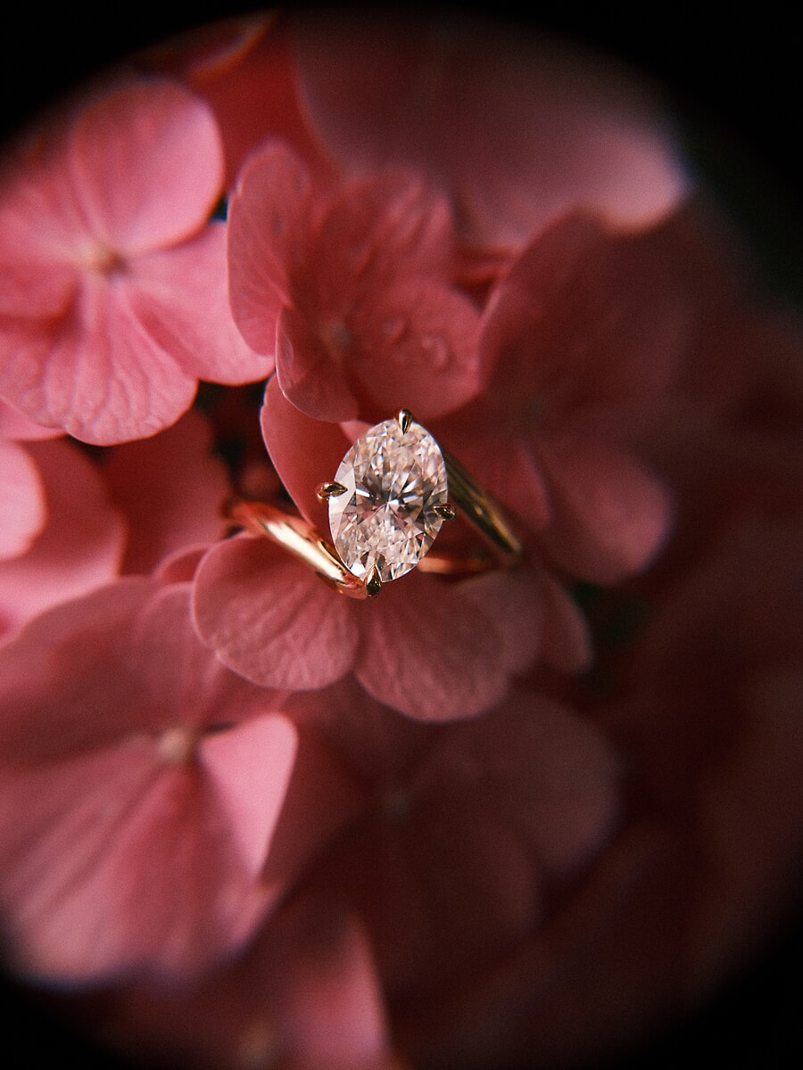 Proposal ring on pink hydrangea petals, with the swirly bokeh and soft vignetting of an artistic lens