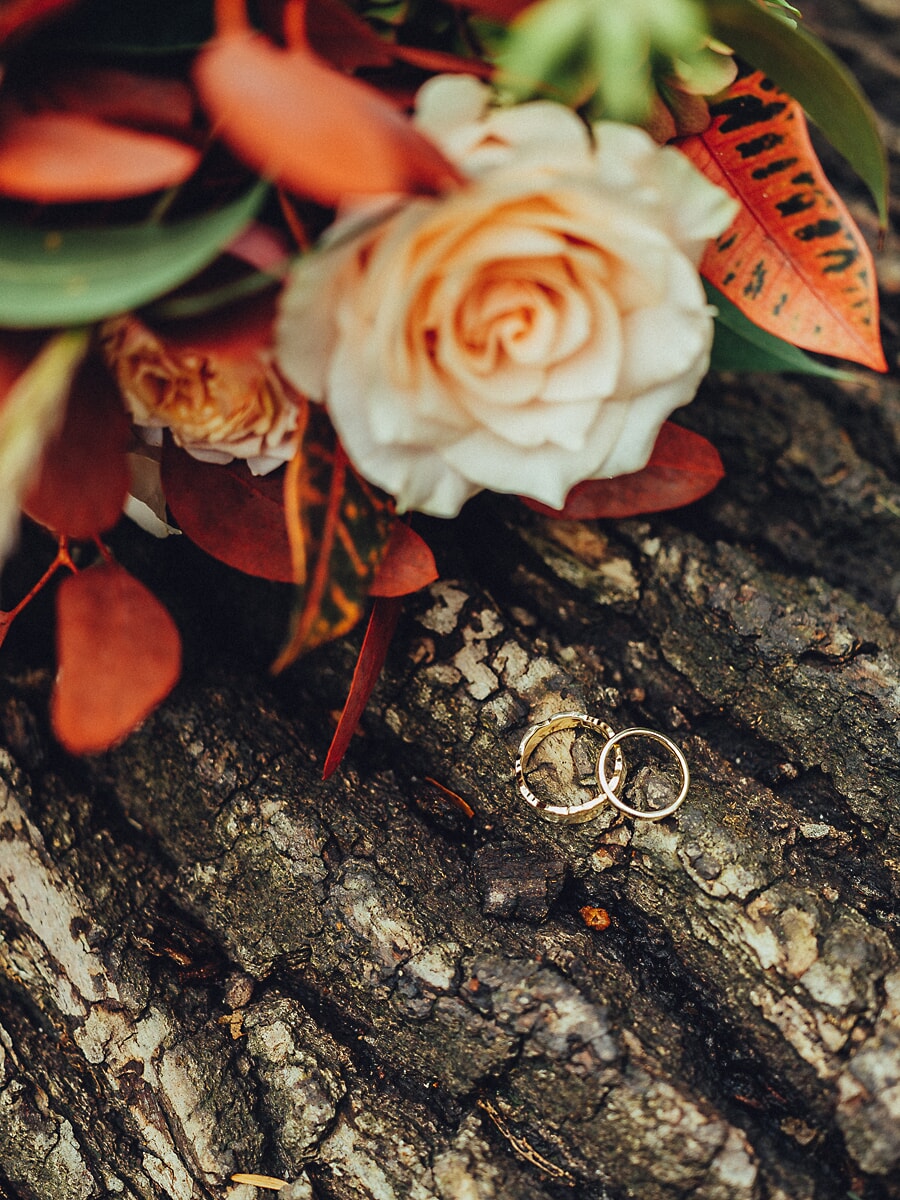 Wedding Ceremony SP19 Wedding rings resting on tree bark beneath a cream rose and autumn foliage, a natural detail from the wedding photography