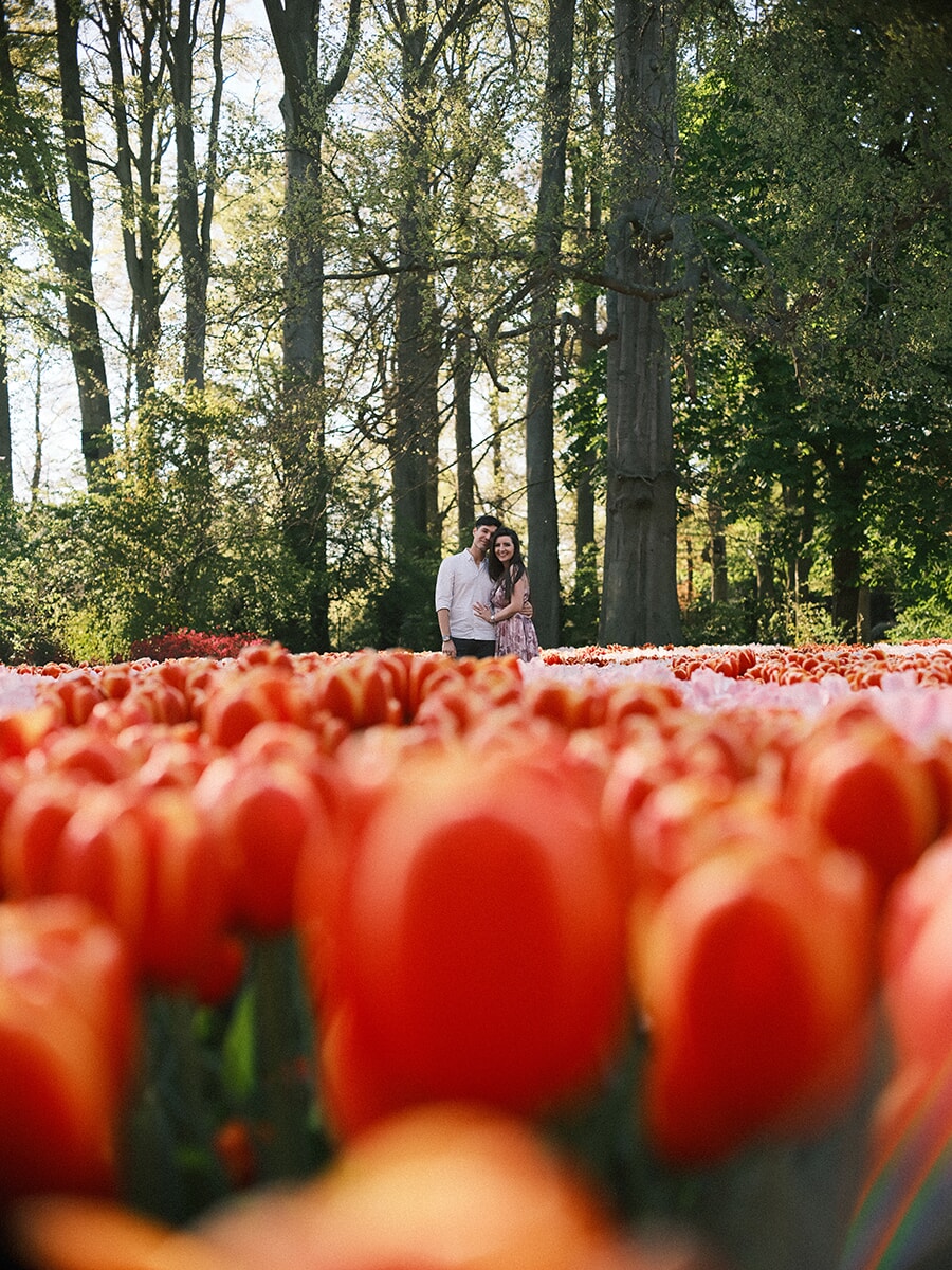 Couple arm in arm at the far edge of an orange tulip bed, the nearest blooms blurred large in the foreground