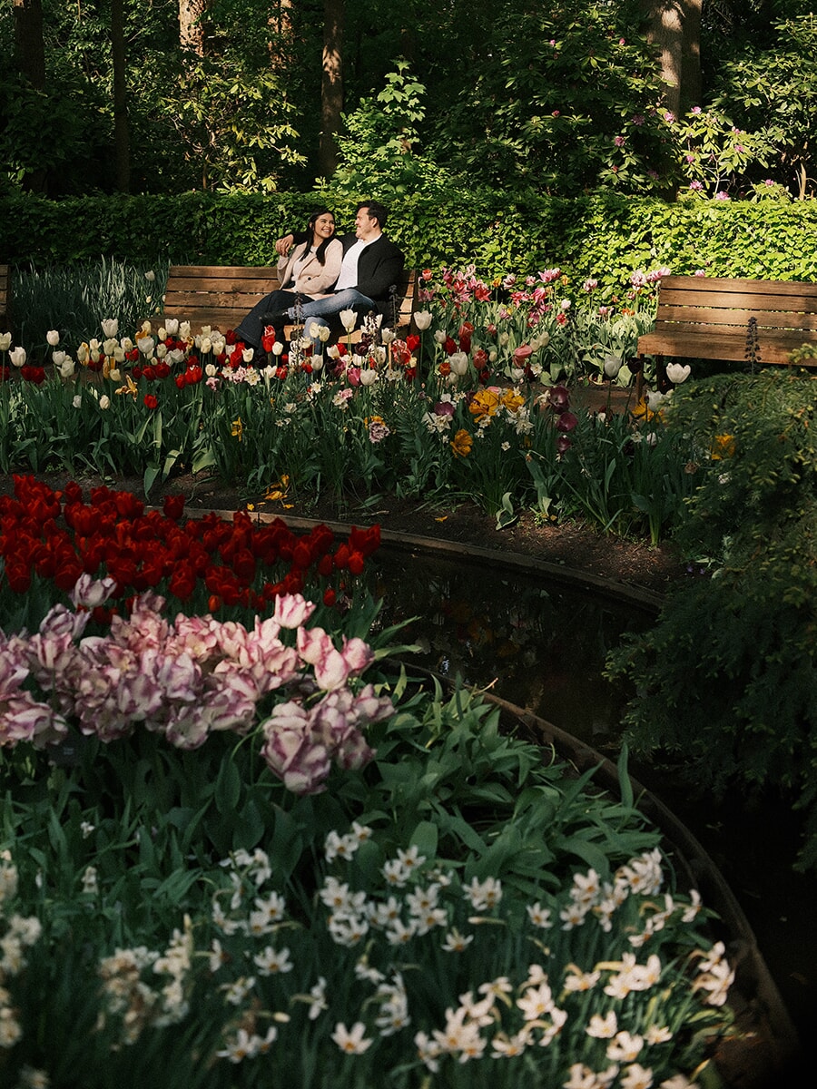 Laughing together on a wooden bench, a couple sits behind tulips and white narcissus edging a curved pond at Keukenhof