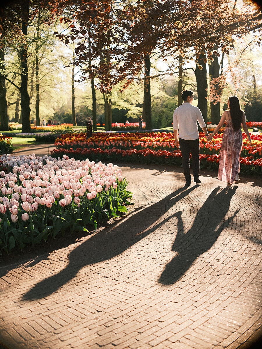 Walking hand in hand along a curving brick path at Keukenhof, a couple casts long evening shadows between the tulips