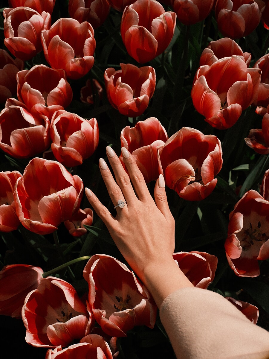 Her hand with a diamond engagement ring resting over a dense bed of coral-red tulips
