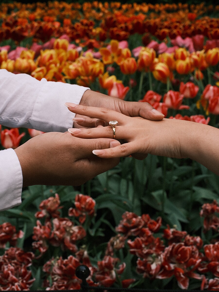 His hands cradling hers to show a new diamond engagement ring, an orange and red tulip bed behind