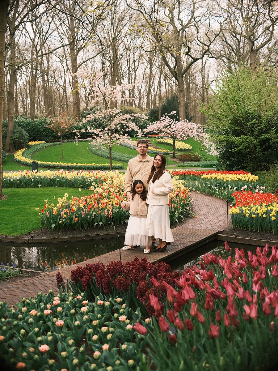 Wide view of parents and their daughter on a small footbridge, curving tulip beds and cherry blossom all around at Keukenhof