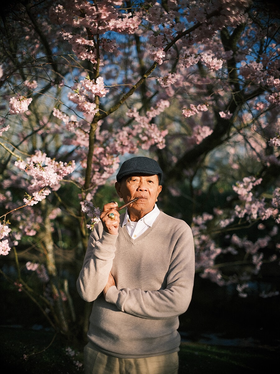 Grandfather in a flat cap holding his pipe beneath a pink cherry blossom tree in warm evening sun at Keukenhof