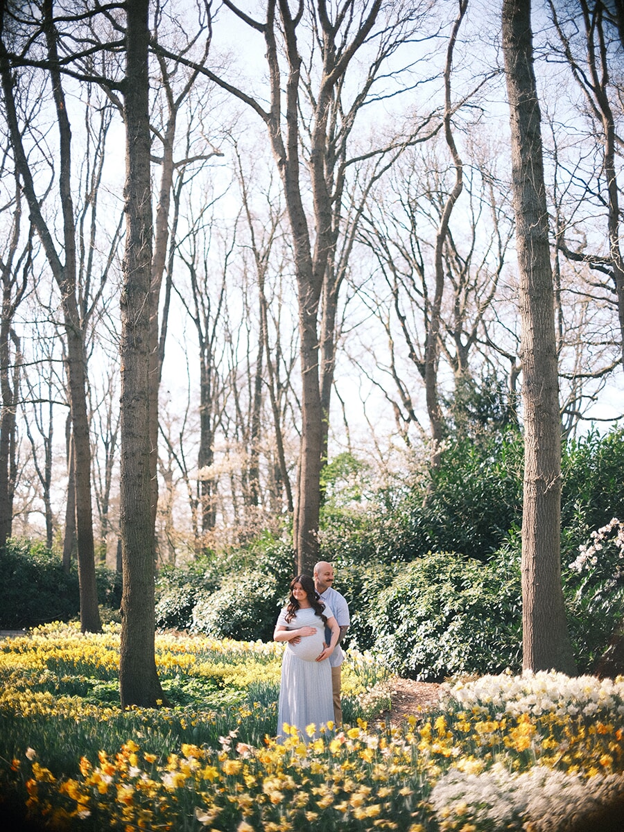 Expecting couple standing small among tall bare trees, drifts of yellow and white daffodils at their feet