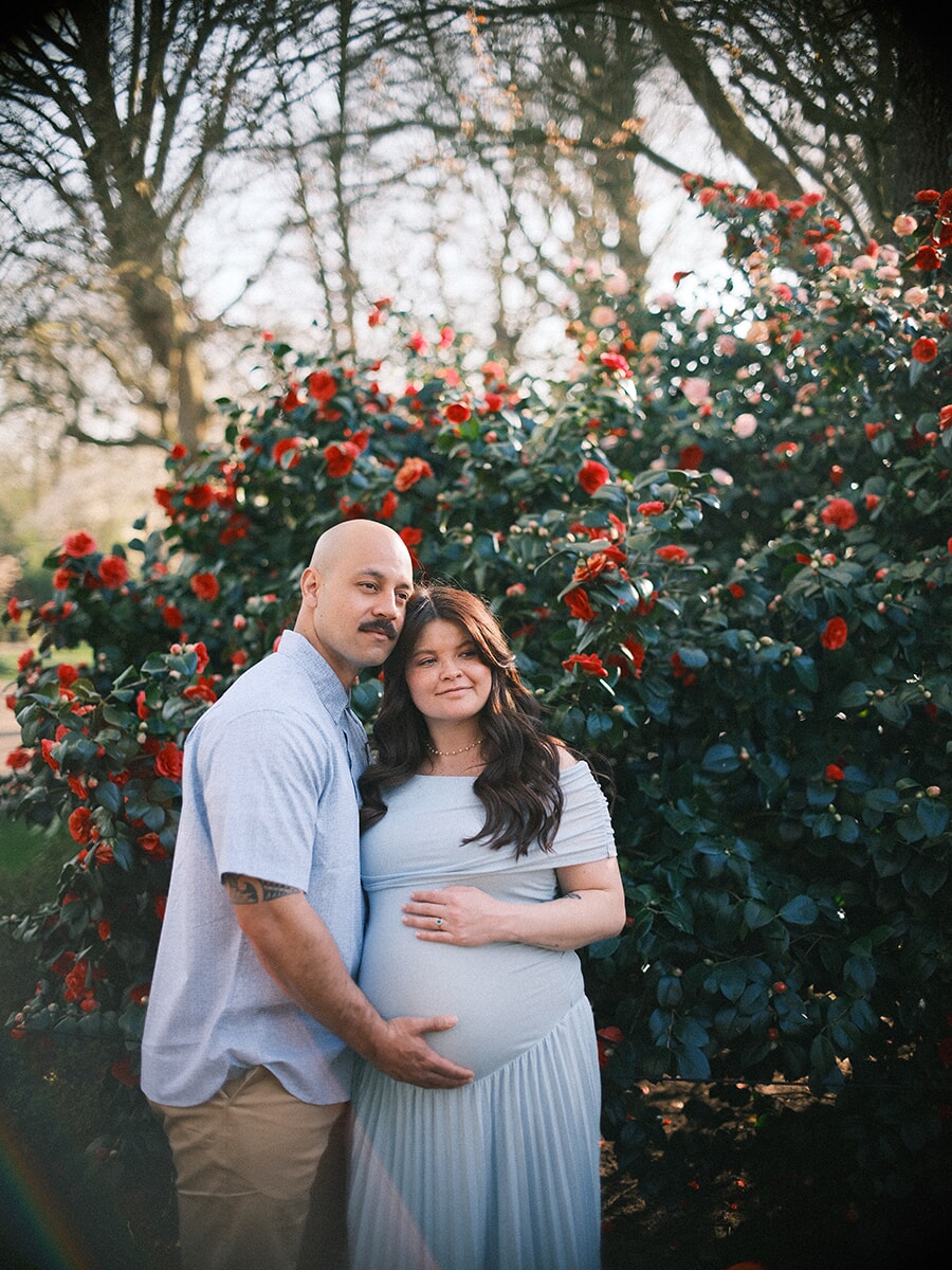 Expecting couple standing close with their hands on her bump, a red camellia in bloom behind them