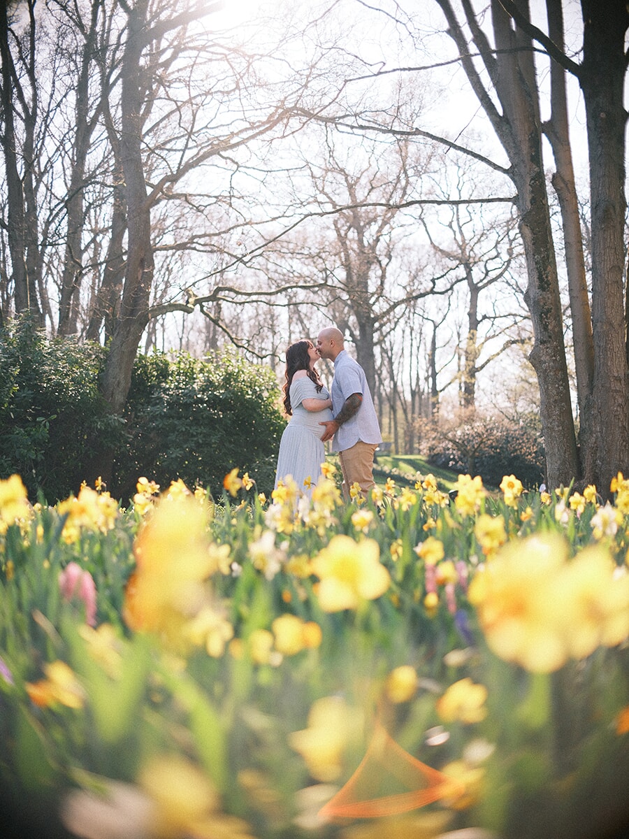 Expecting couple sharing a kiss under tall bare trees, daffodils and hyacinths blurred in front, a maternity session at Keukenhof