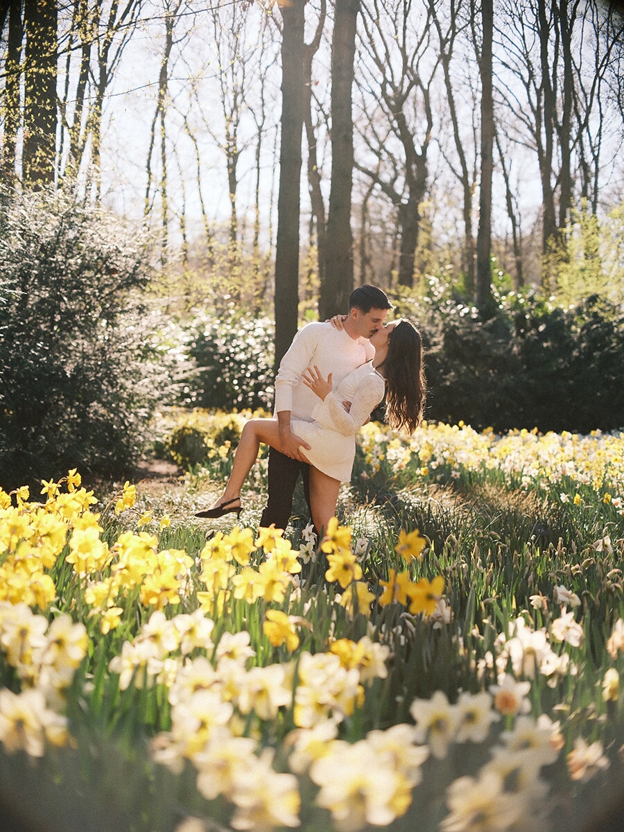 Playful dip kiss as he holds her with one leg raised, yellow and white daffodils shining in full sun