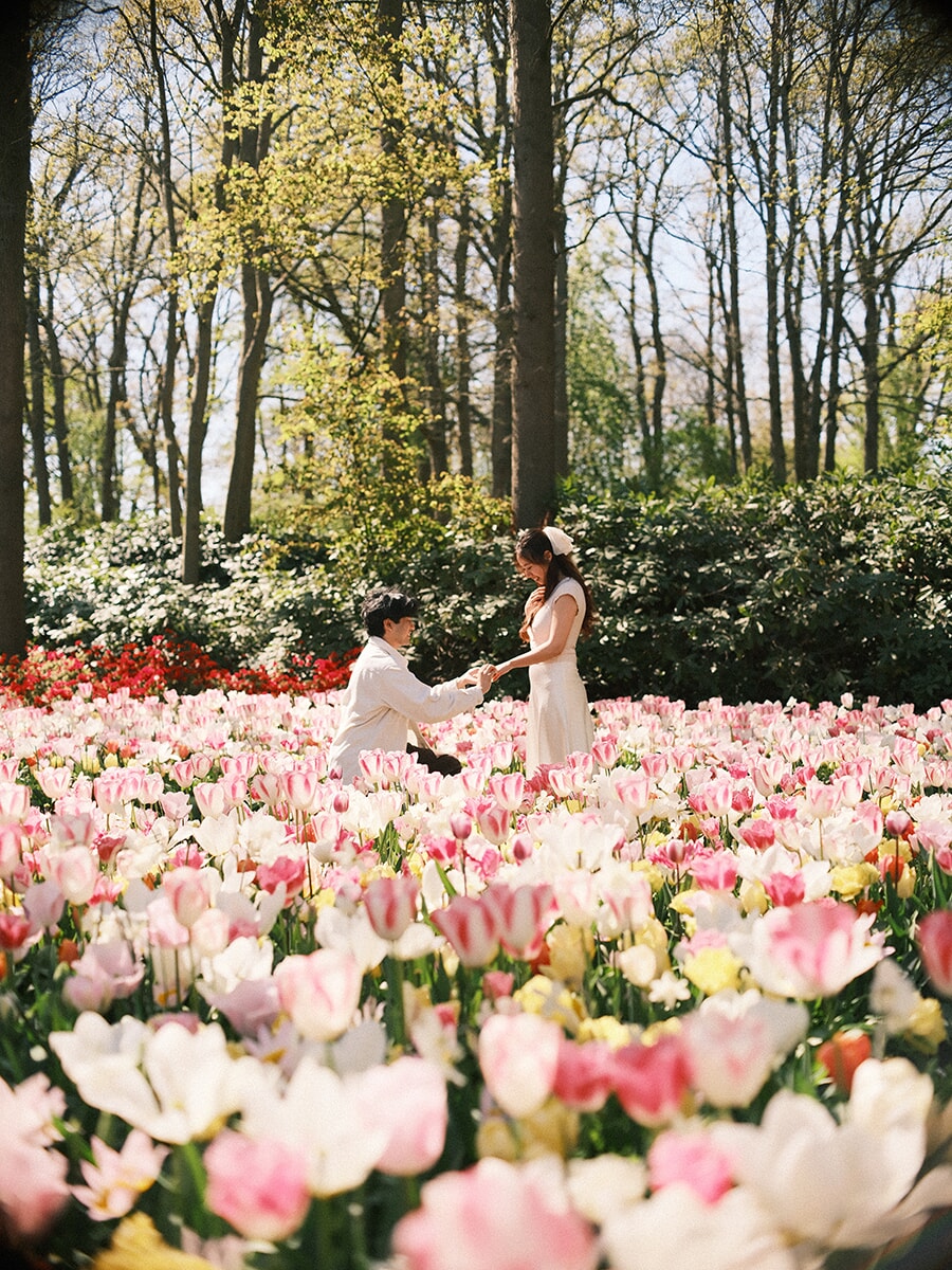 A proposal in a sea of pale pink and white tulips, his hand holding hers as he kneels beneath tall trees at Keukenhof