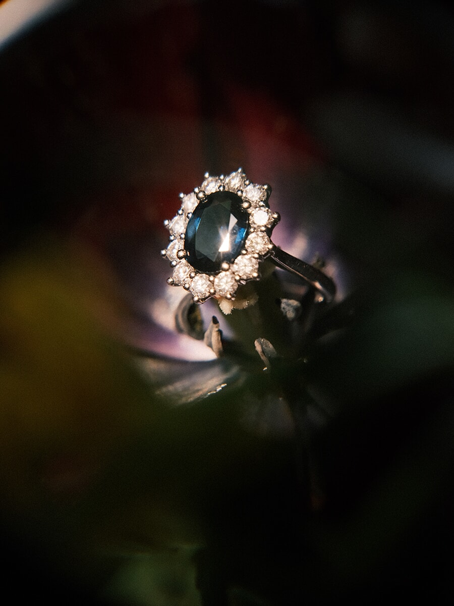 Sapphire and diamond cluster ring nestled inside a dark flower, caught in low, dramatic light