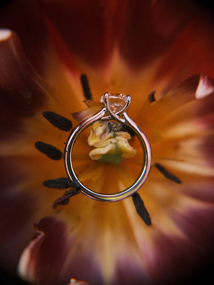 Diamond solitaire engagement ring resting in the heart of an open tulip, ringed by dark stamens