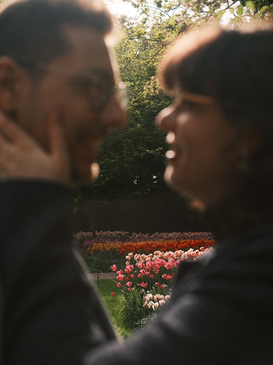 Tulip beds in pink, red and purple framed between two blurred faces in profile, an intimate and creative couple portrait