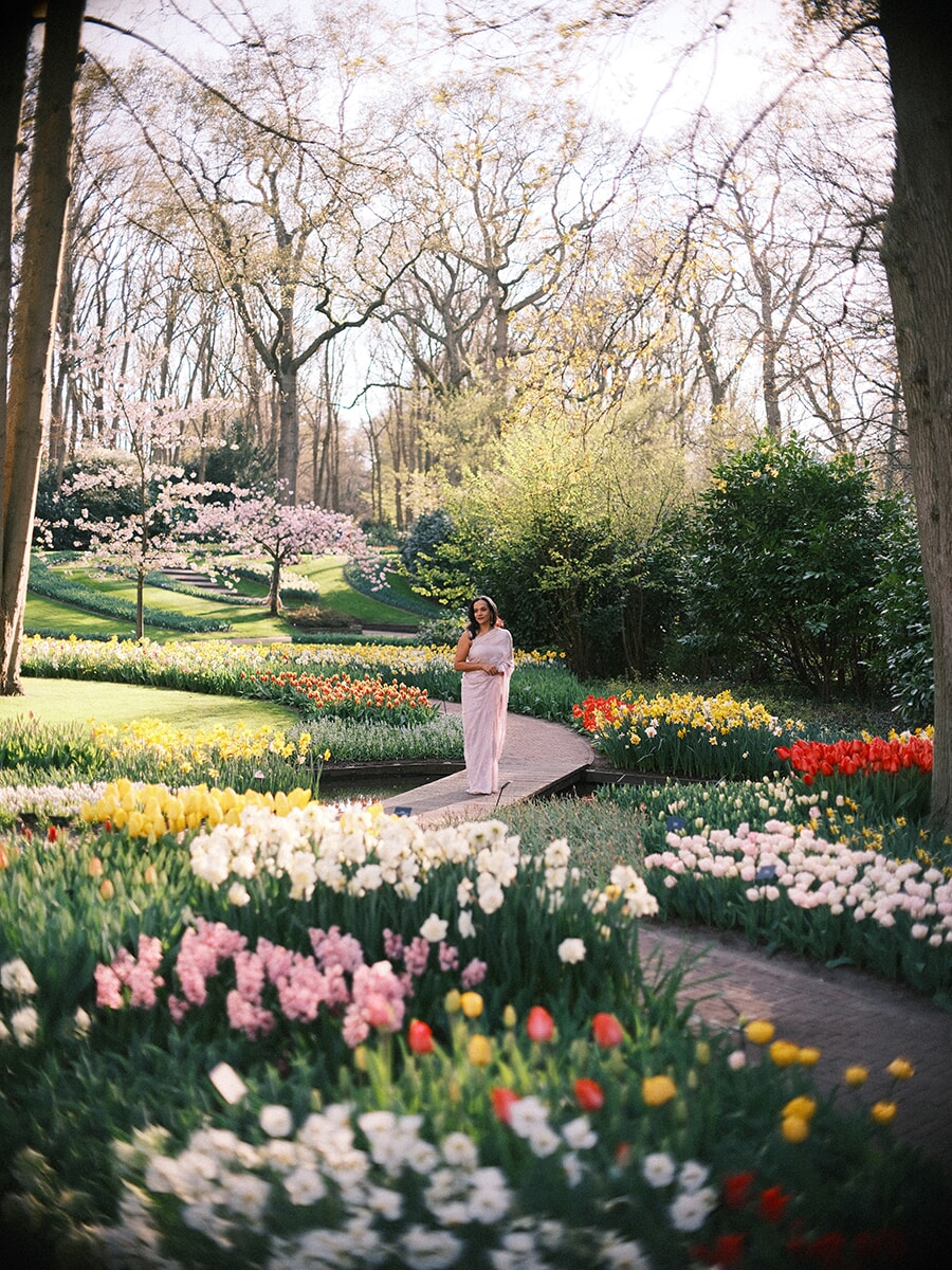 Wide view of a woman in a long pink draped dress on a curving garden path, tulip beds and cherry blossom around her at Keukenhof